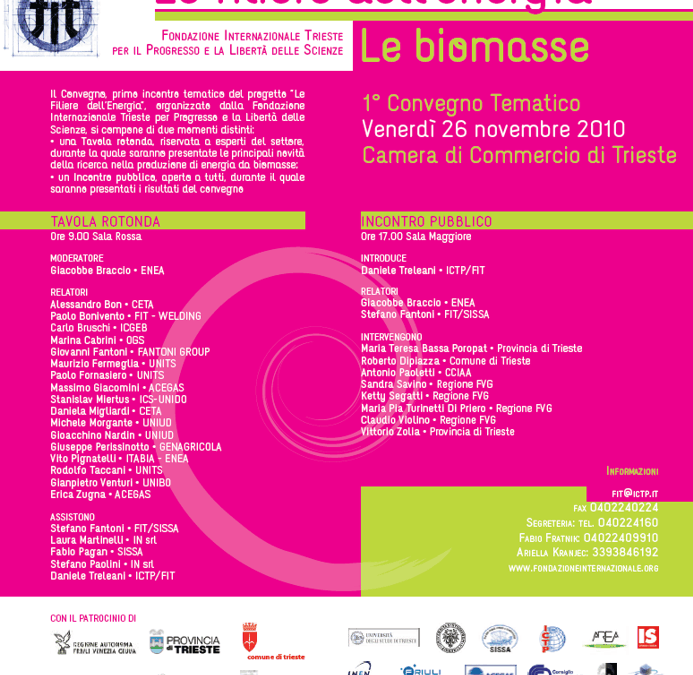 Le biomasse
